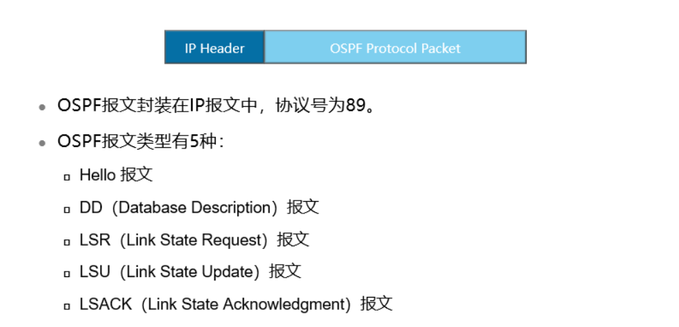 OSPF报文